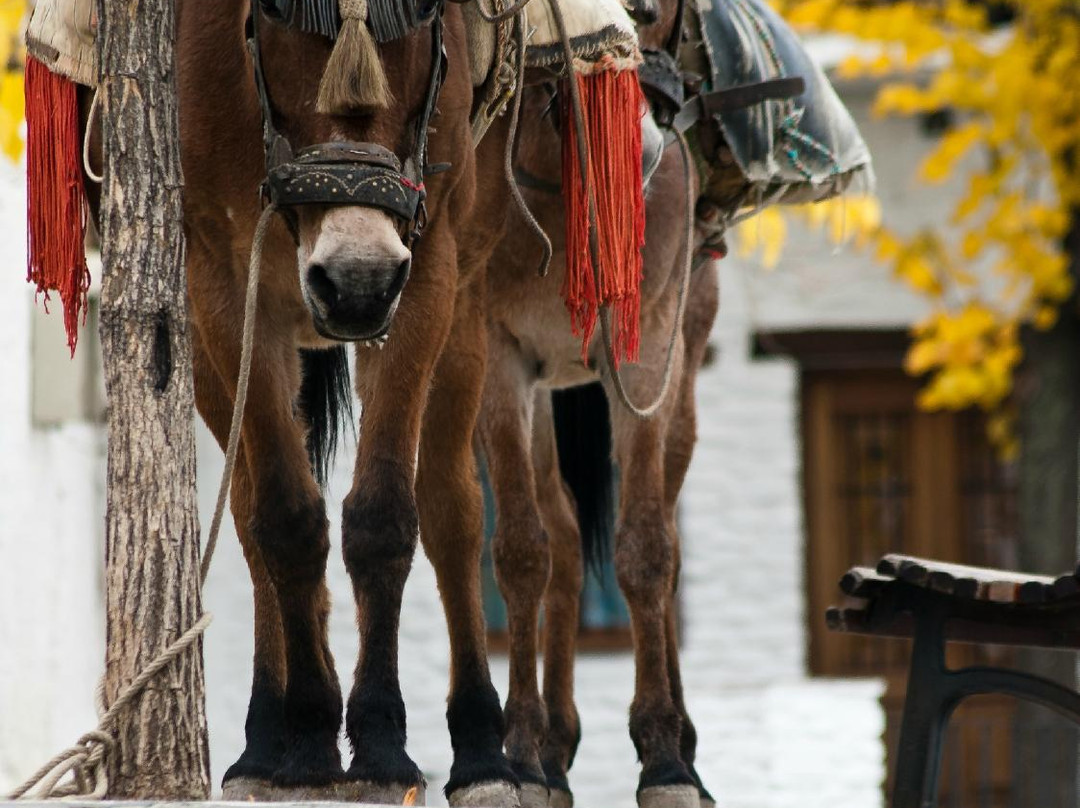 Felipe Passolas Adventure Image-格拉纳达必去景点