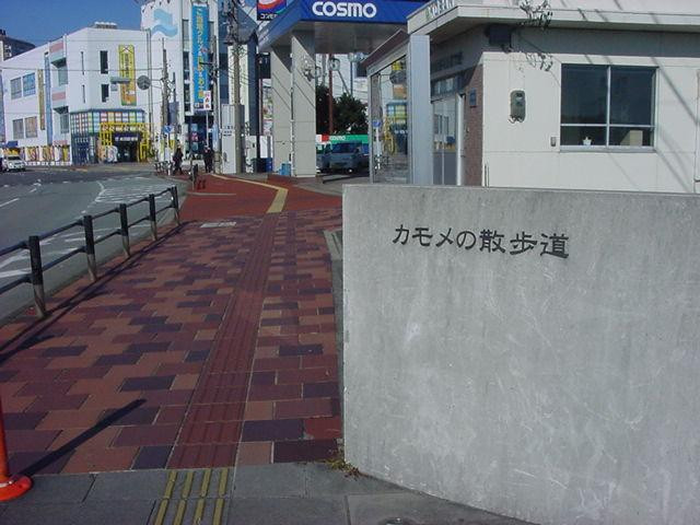 Seagull Promenade景点图片