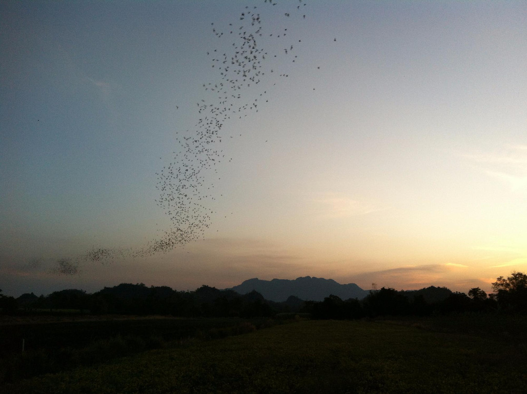 Phu Pha Man Bats Cave景点图片