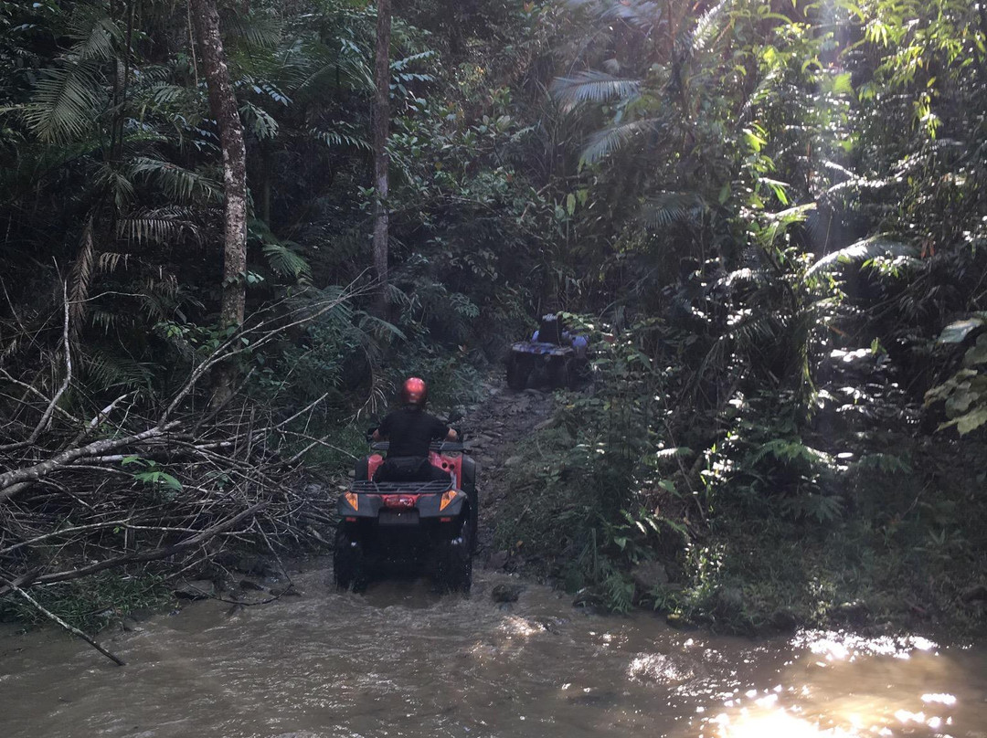 Daintree Station-Whyanbeel必去景点