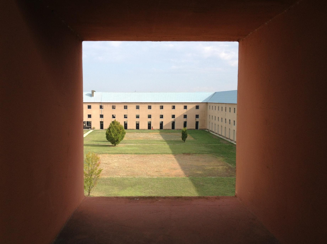 Cimitero Di San Cataldo景点图片