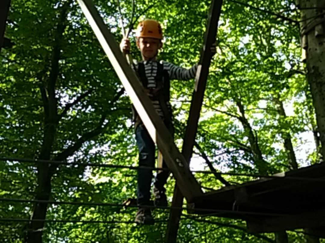 Avana Obstacle Course景点图片