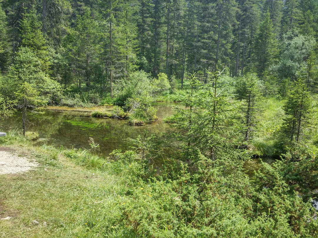 Percorso Didattico Biotopo-Braies必去景点