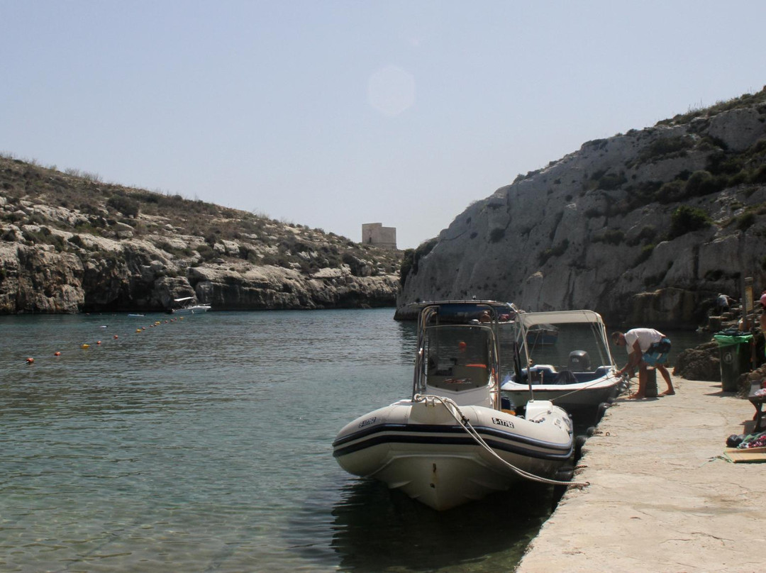 D1 Watersports-圣朱利安斯必去景点