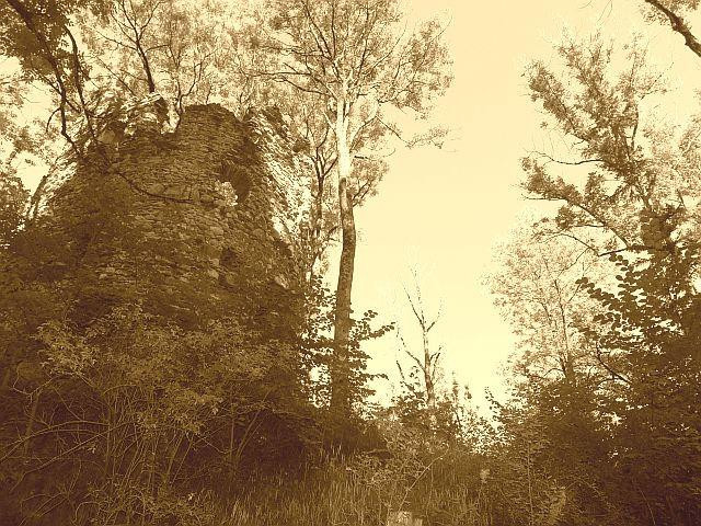Burg Fluhenstein景点图片