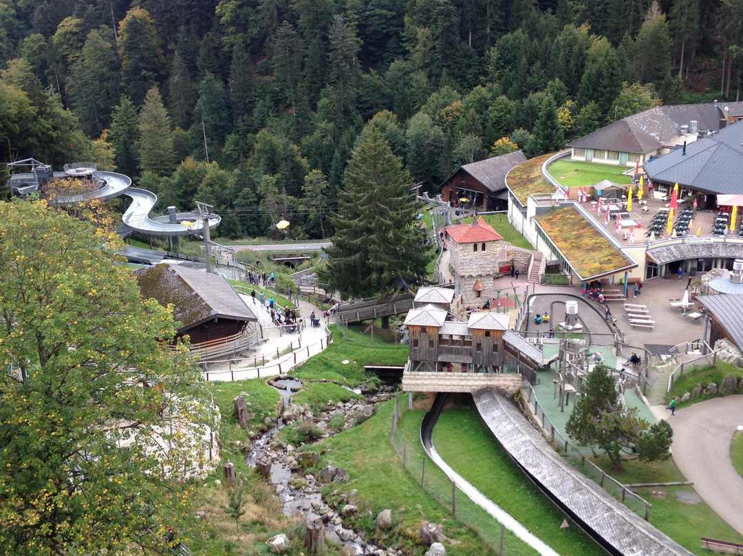 Horben旅游景点-Steinwasen Park