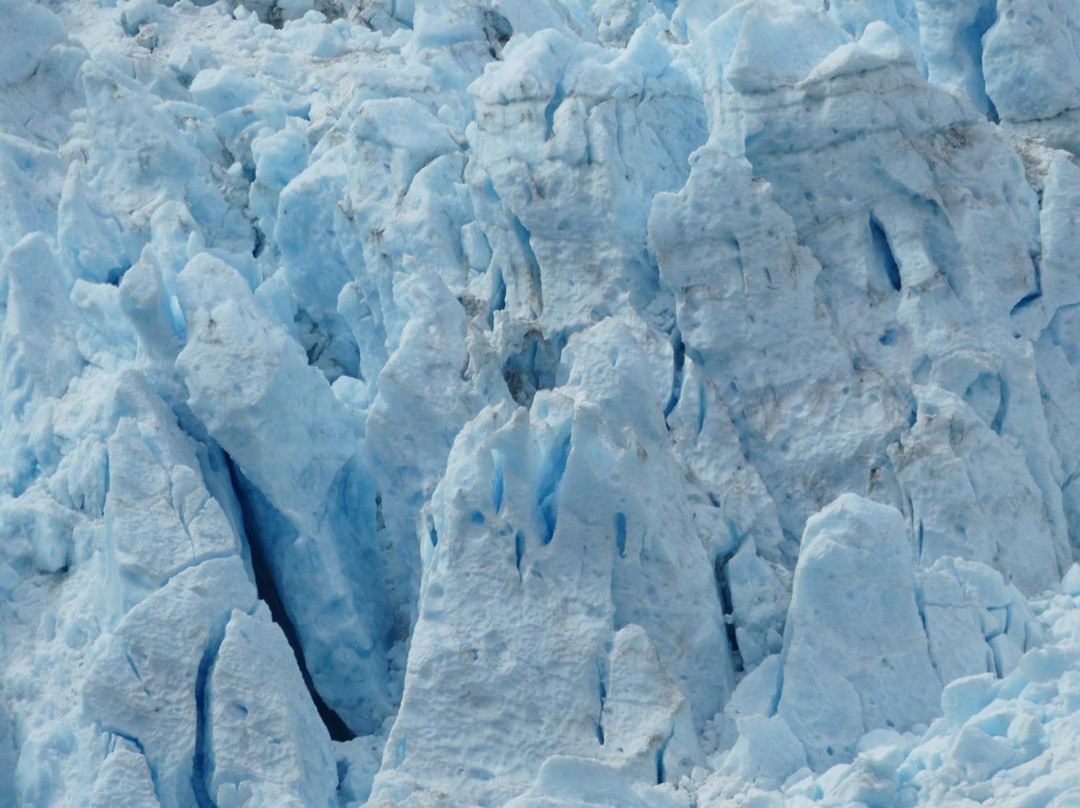 Holgate Glacier-苏厄德必去景点
