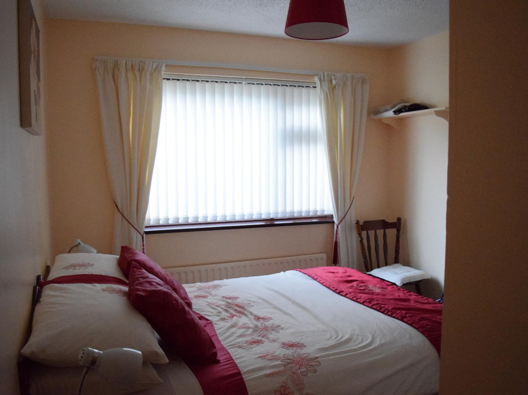 Hillside Bed and Breakfast Shannon主图