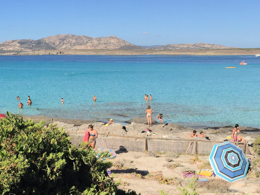 La Pelosa Beach-斯廷蒂诺必去景点