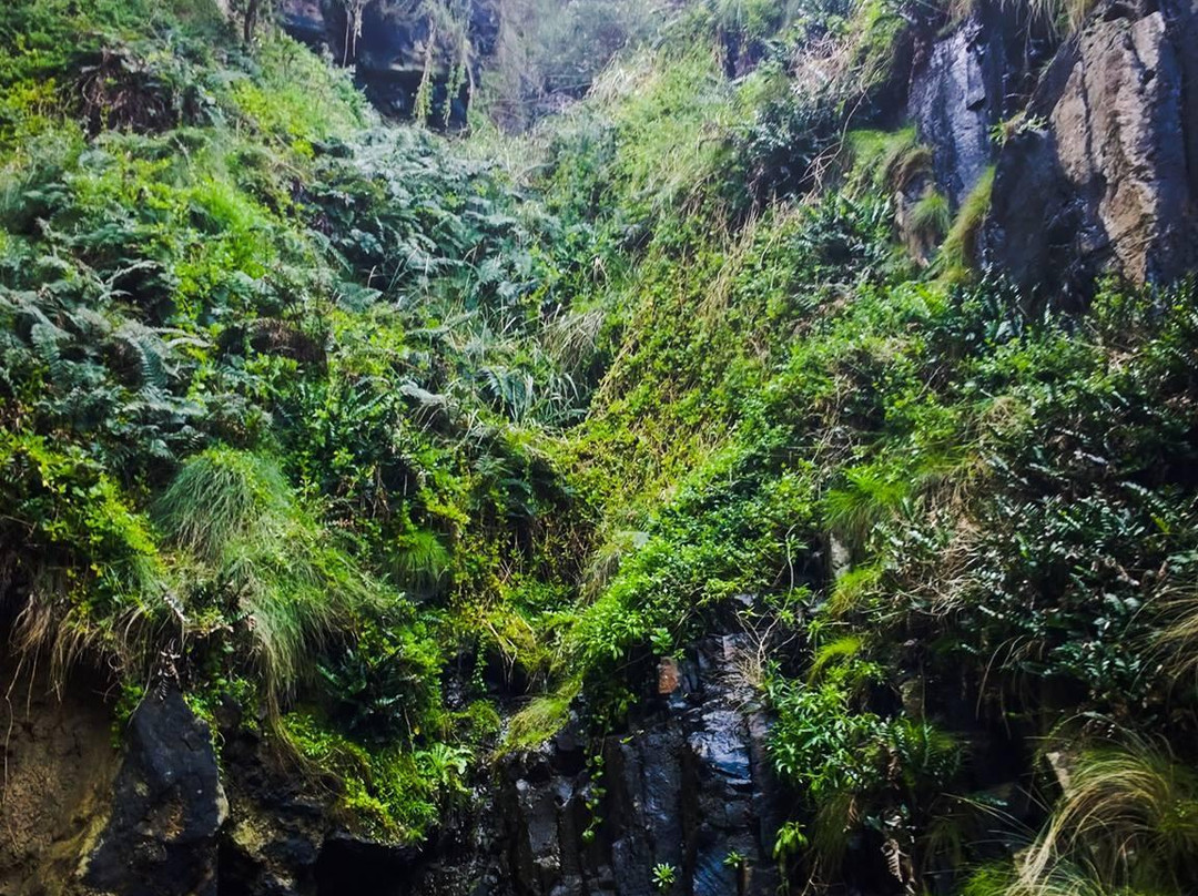 Remarkable Cave-亚瑟港必去景点