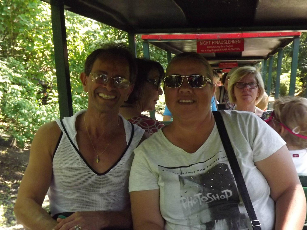 Kleinbahn im Rheinpark-科隆必去景点