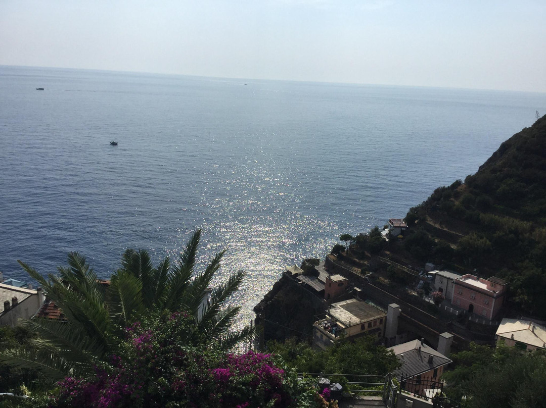I Limoni di Thule