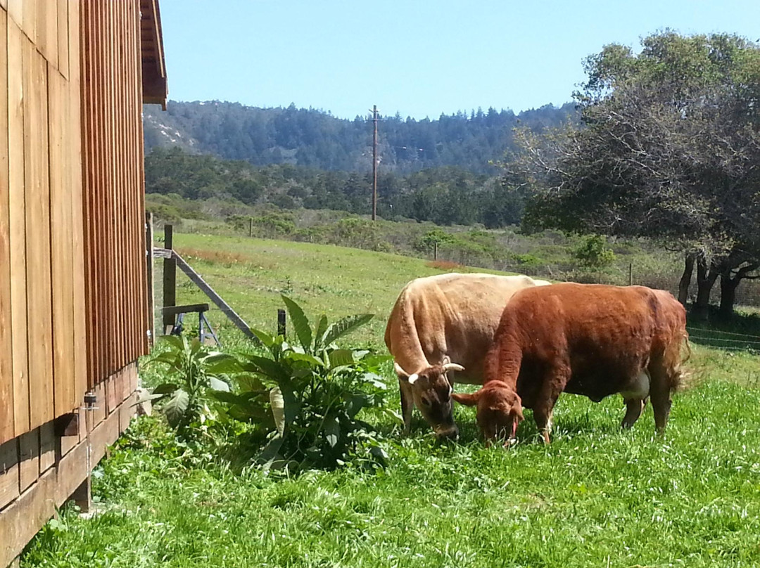 Pie Ranch-佩斯卡德罗必去景点
