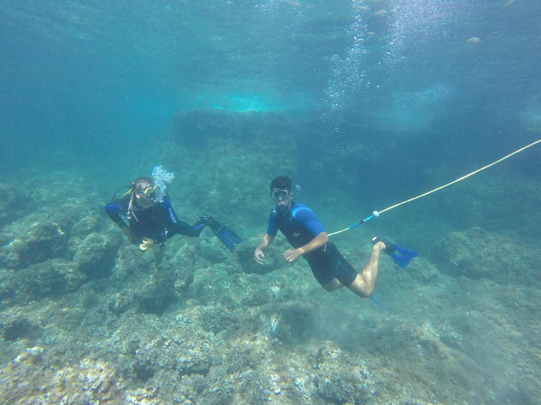 Peter Diving-卡尔维亚必去景点