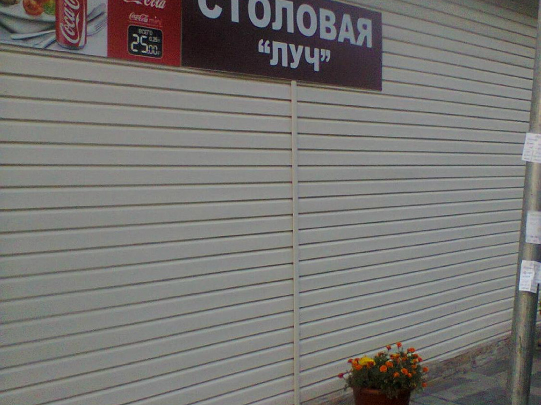 Vesyoloye餐馆和美食-Luch