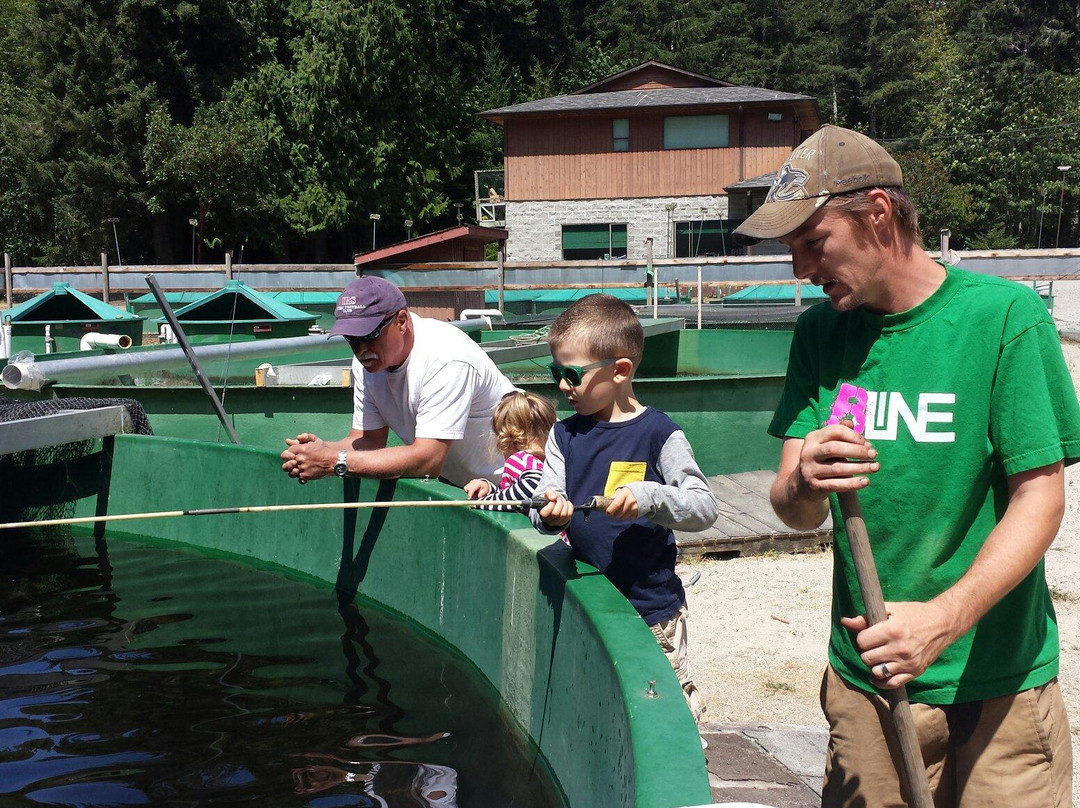 Chapman Creek Hatchery-Sechelt必去景点