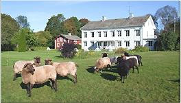 B&B Kvarntorps Herrgård