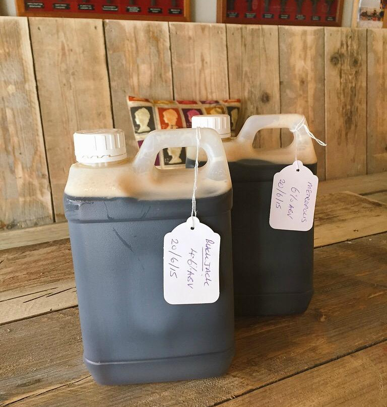 The Wight Bear-伯恩茅斯必去景点