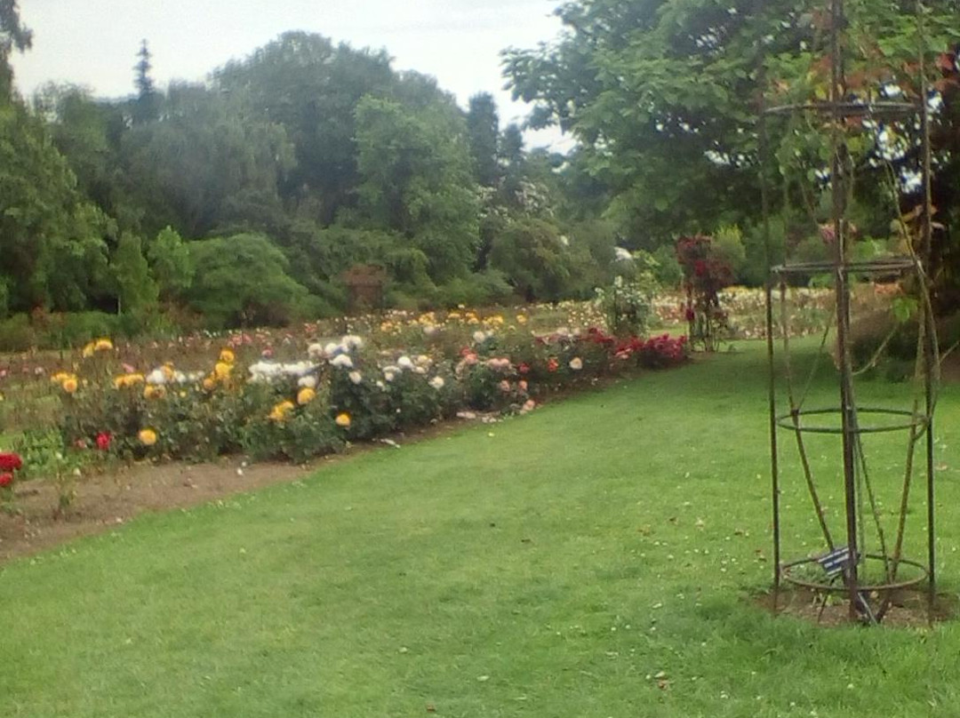 Roath Park-卡迪夫必去景点