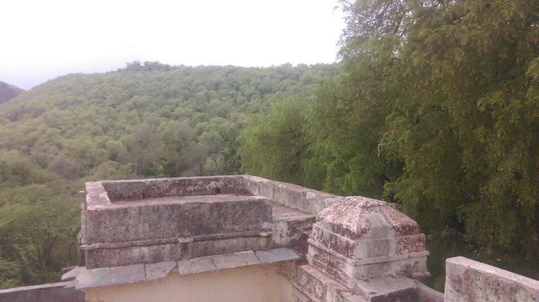 Ramgarh Vishdhari Sanctuary景点图片