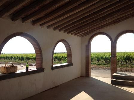 Uvas y Vino景点图片