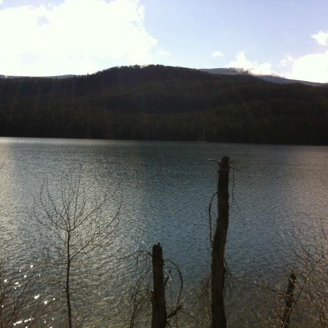 Swan Lake景点图片