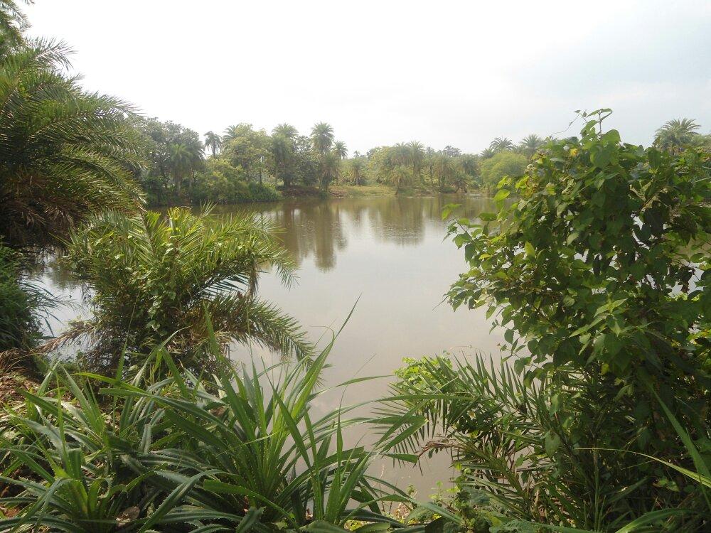 Pathanivas Chandaneswar-客卧