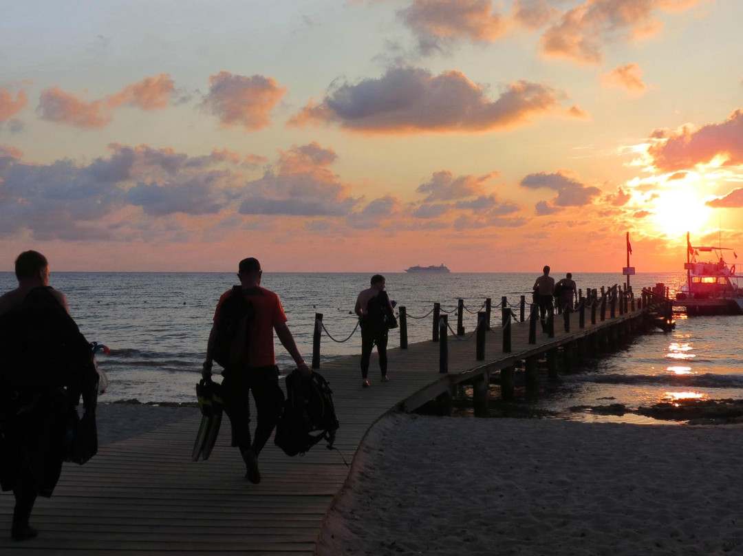 Dressel Divers Cozumel-考祖梅必去景点