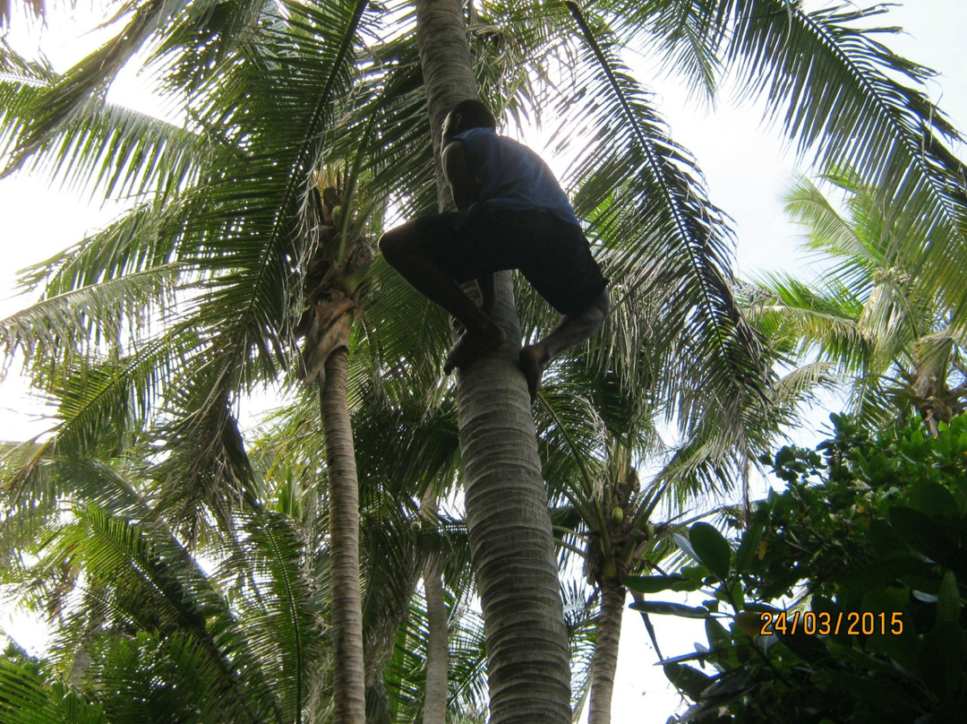 Take A Break Cuises-马洛洛莱莱岛必去景点