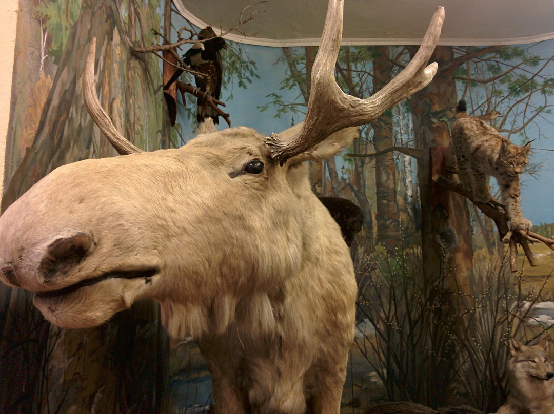 Museum Archaeology, Ethnography and Ecology of Siberia-克麦罗沃必去景点