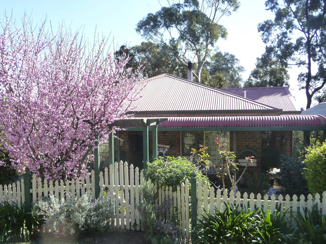 Umina Beach旅游攻略图片