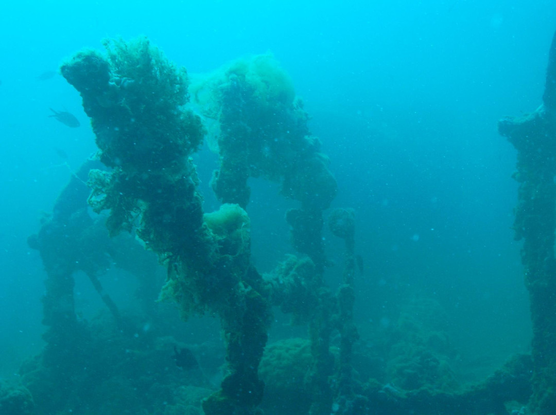 Zeus Faber Diving Center Lanterna-Tar-Vabriga必去景点
