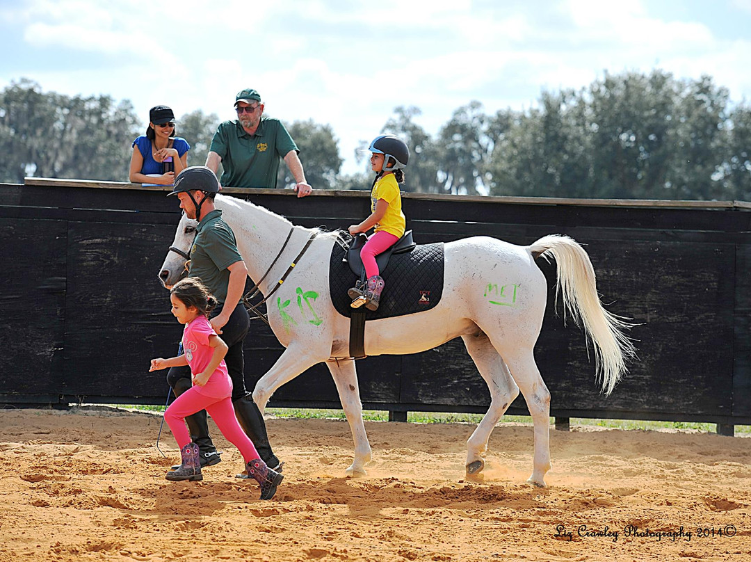 Al-Marah Arabian Horses-Clermont必去景点