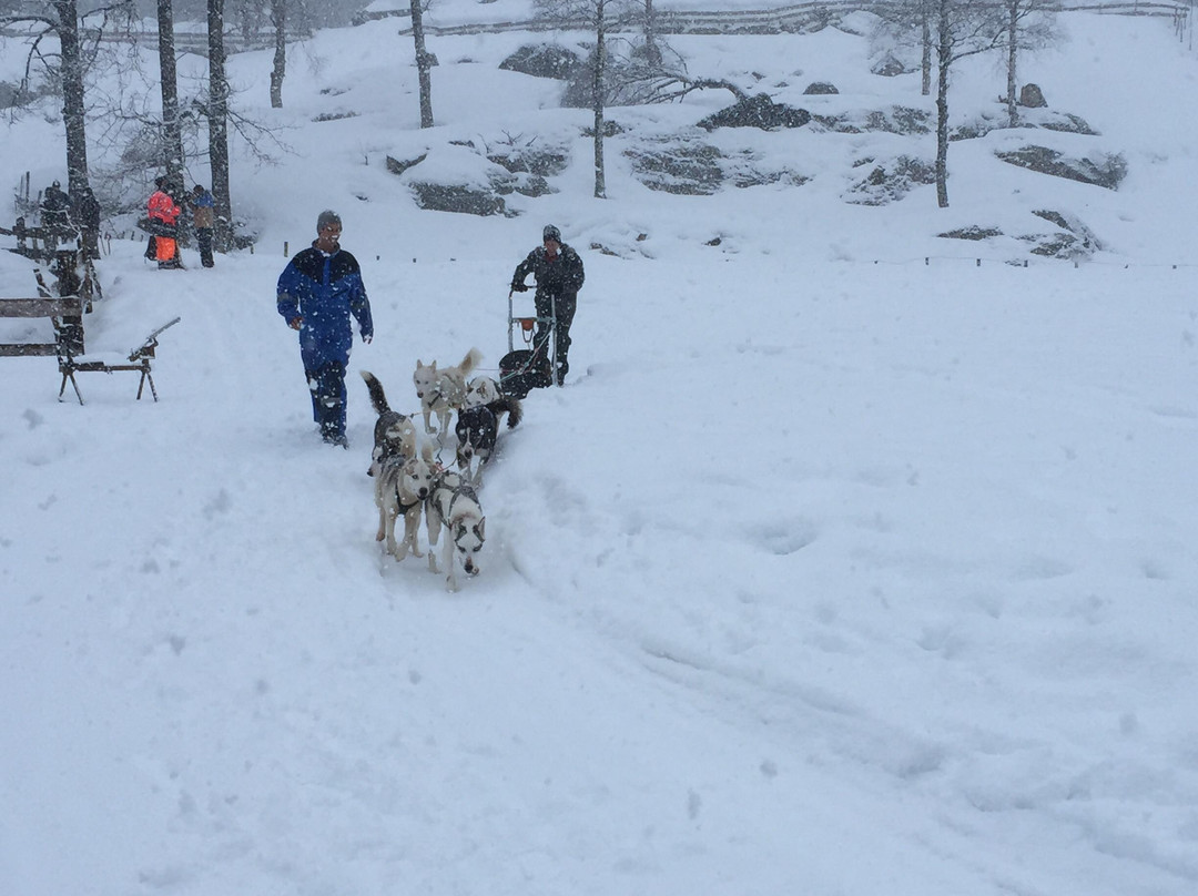 Sirdal Husky Farm景点图片