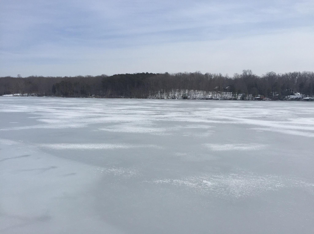Lake Anna State Park景点图片