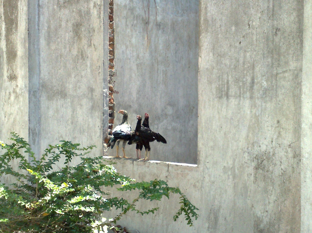 Cipir Island-雅加达必去景点