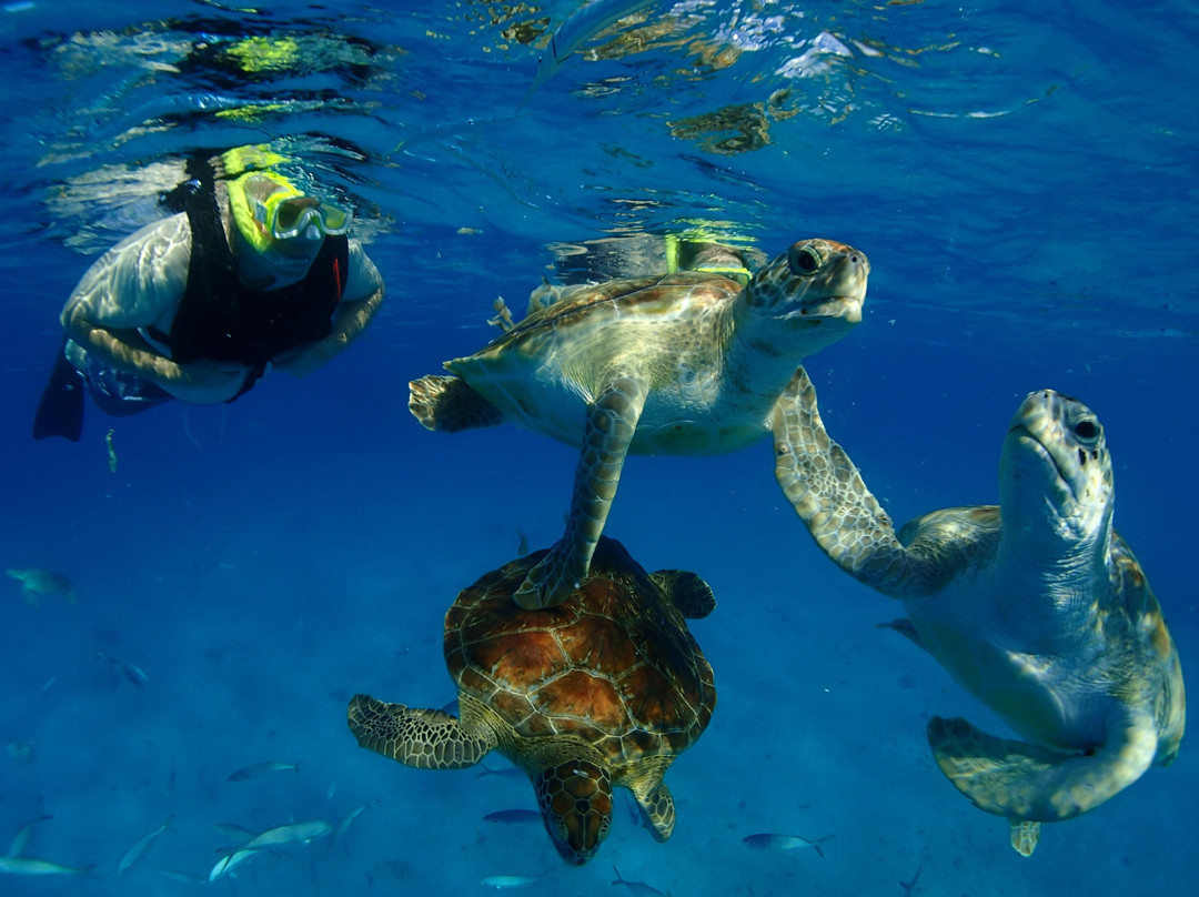 Cliff Sharker-奥伊斯廷斯必去景点