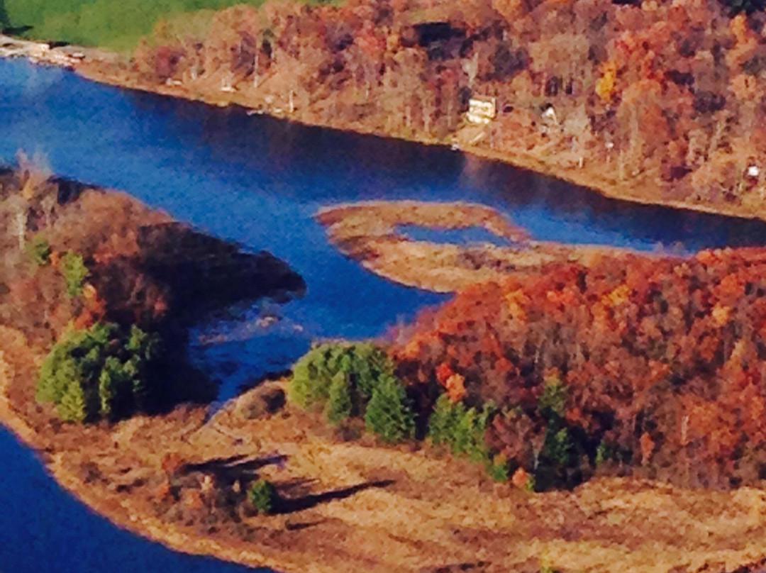 Balloon Quest Inc Capt. Phogg Balloon Rides-Fenton必去景点