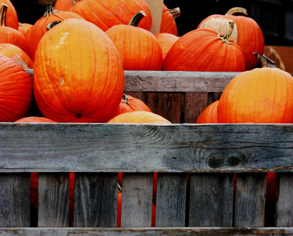 Rogers Flea Market & Auctions-Rogers必去景点