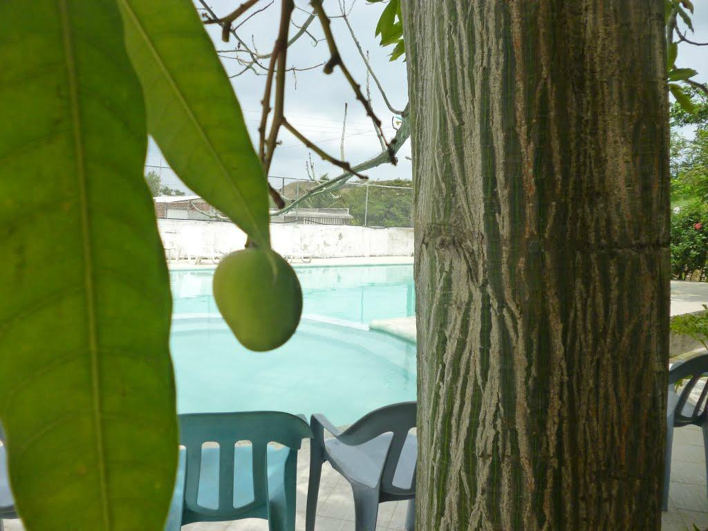 Hotel El Penon de Sua主图