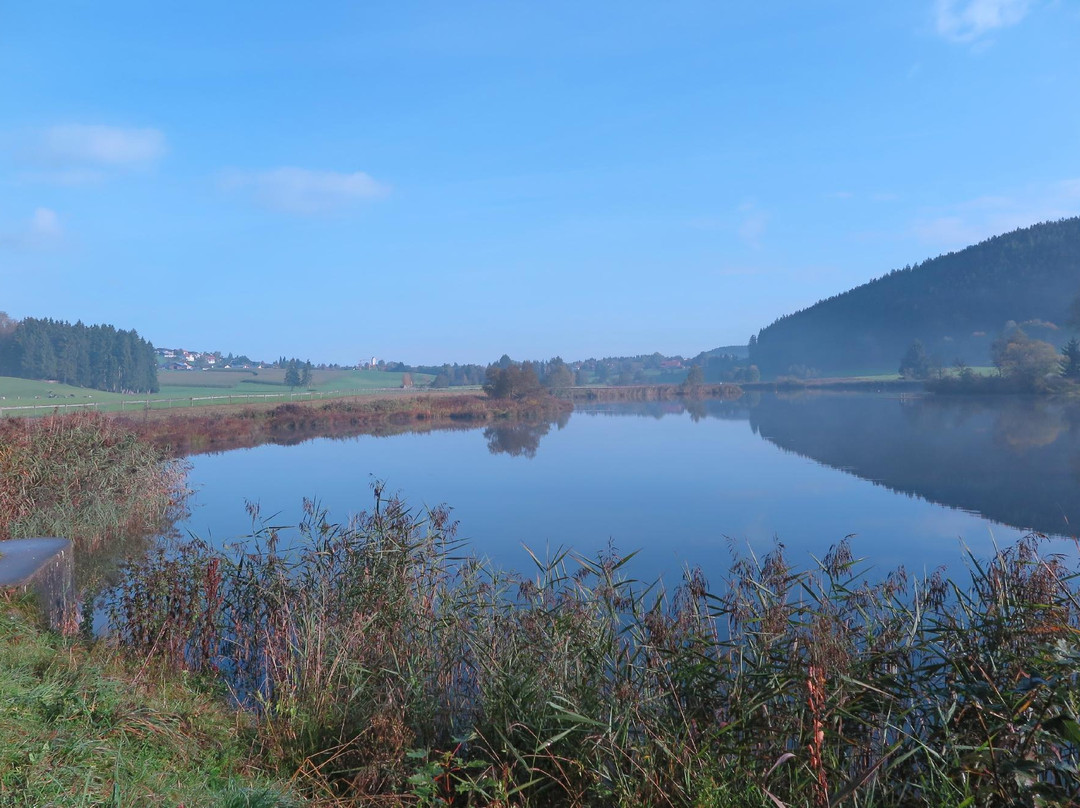 Herrenwieser Weiher-Wiggensbach必去景点