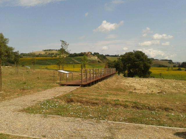 Parco Archeologico Pava景点图片