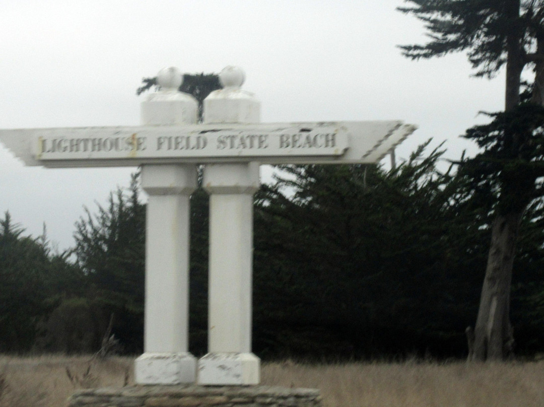 Lighthouse Field State Beach-圣克鲁斯必去景点