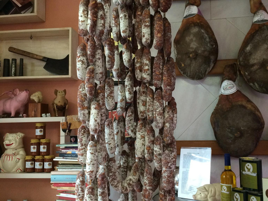 macelleria gastronomia falaschi