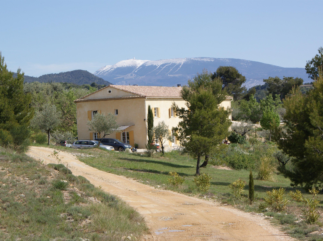 La Bastide d'Or主图