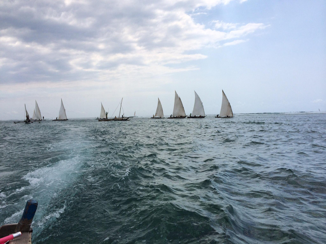 Zanzibar Watersports-桑给巴尔市必去景点