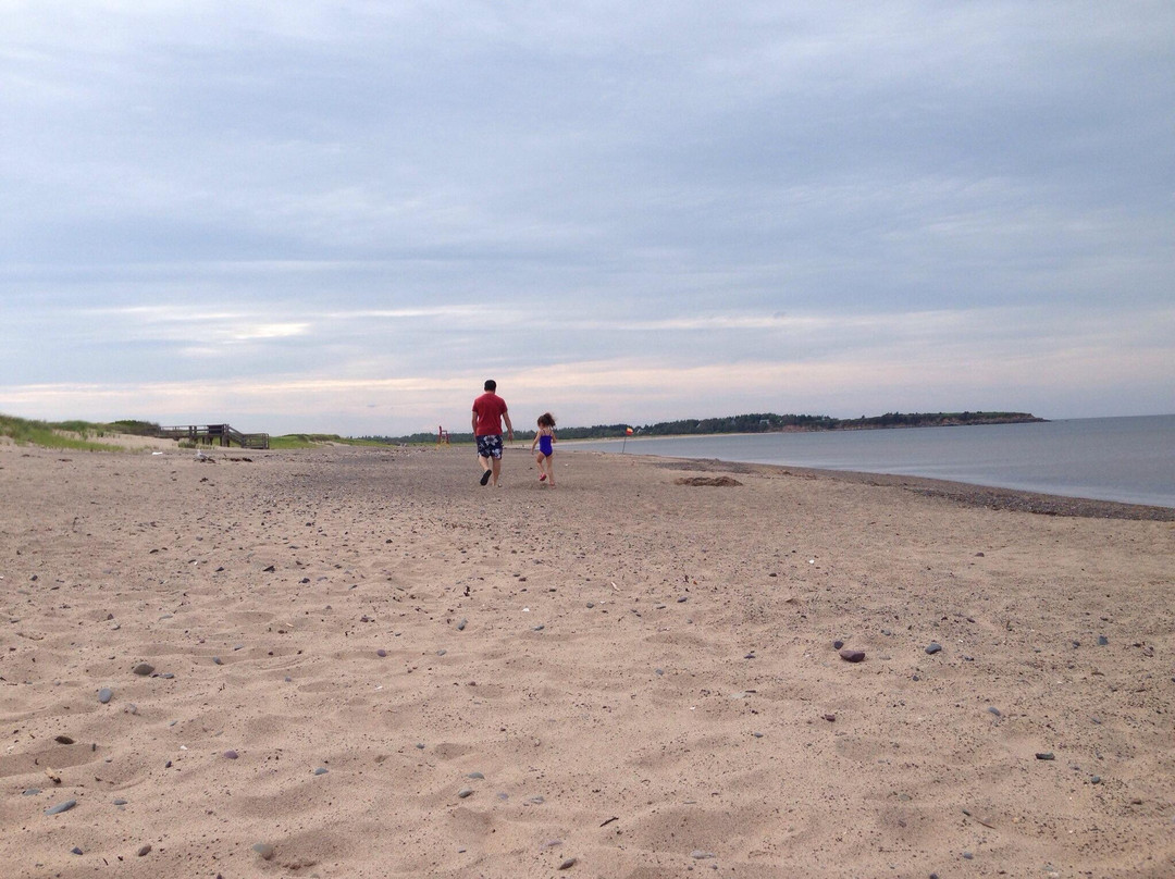 2024年11月Melmerby Beach Provincial Park景点攻略Melmerby Beach Provincial