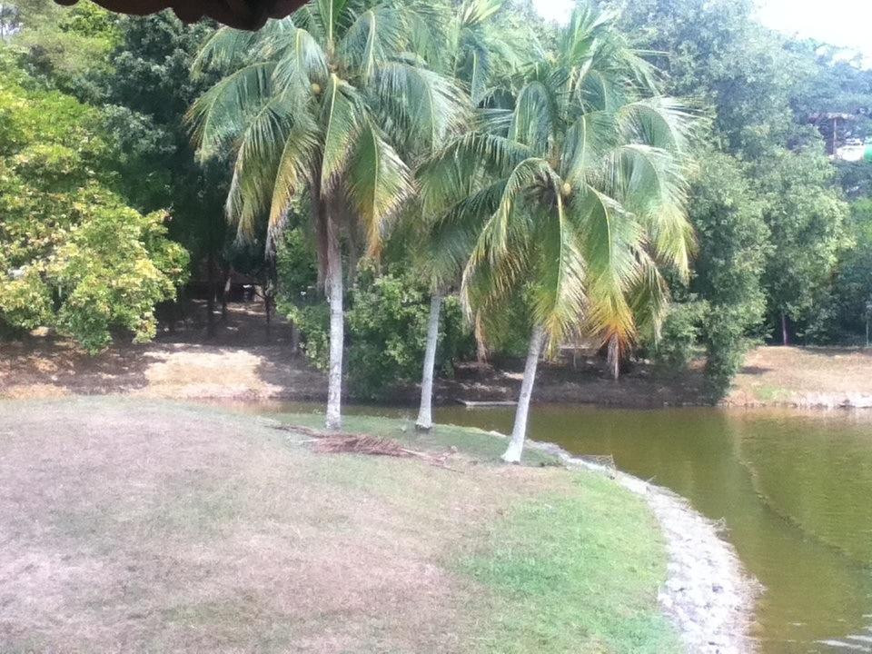 Shah Alam Lake Garden-莎阿南必去景点
