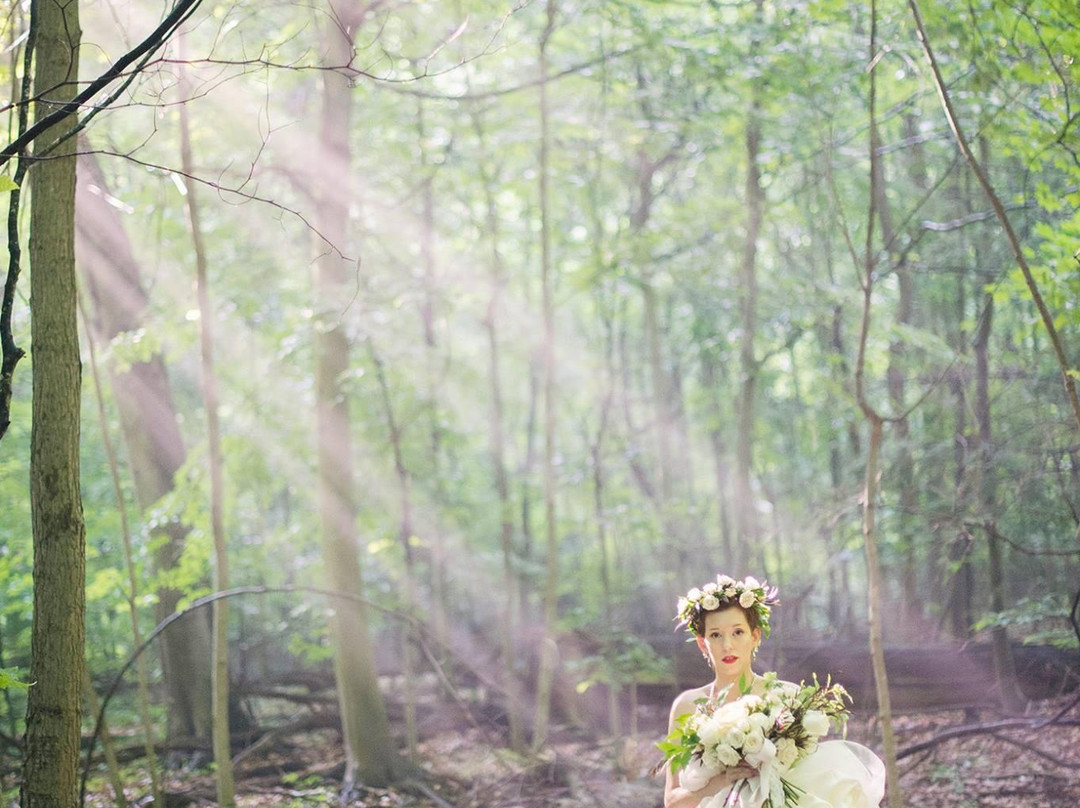 Sanctuary Woods-荷兰村必去景点