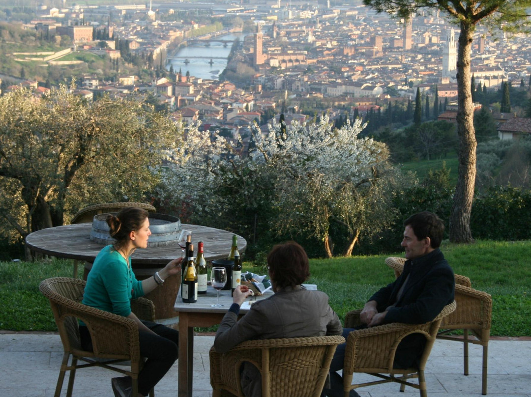 Cantina Giovanni Ederle景点图片